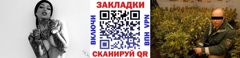 Где найти наркотики Михайловск ГАШИШ  А ПВП  Меф мяу мяу  Cocaine 