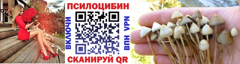 Галлюциногенные грибы прущие грибы  как найти закладки  omg ссылка  Михайловск 