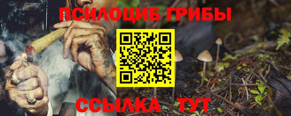 Псилоцибиновые грибы MAGIC MUSHROOMS  Вход с VPN  Михайловск 